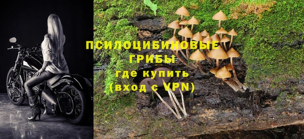 круглые Нефтекумск