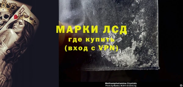 прущие грибы Нея