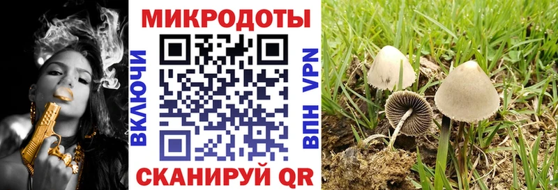 дарнет шоп  OMG ссылки  Псилоцибиновые грибы Magic Shrooms  Ленск 