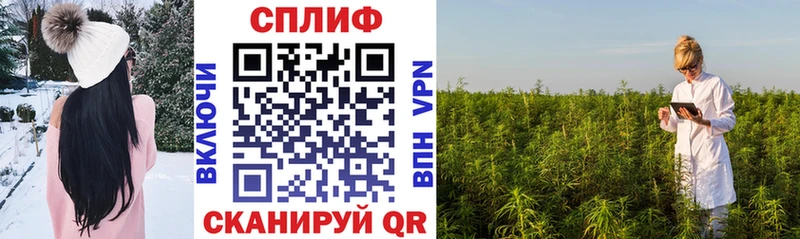 Бошки марихуана VHQ  продажа наркотиков  Ленск 